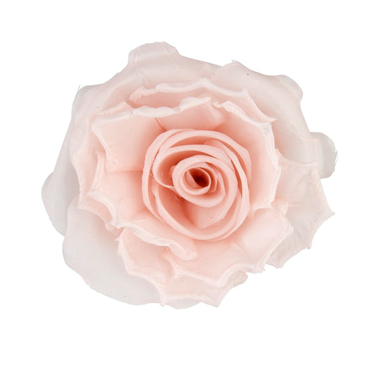 Lizzy Large Pink Rose - from £44, Chez Bec